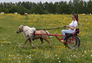 Mały, ale ho, ho!