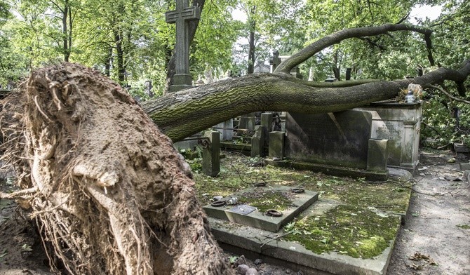 Połamane nagrobki, zrzucone krzyże