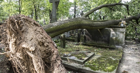 Połamane nagrobki, zrzucone krzyże