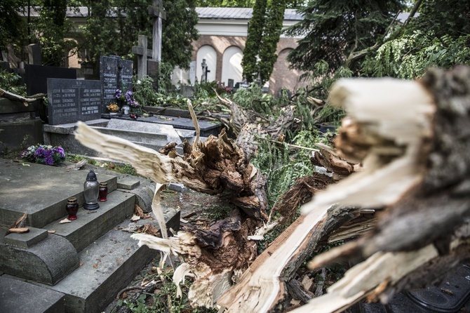 Powązki zniszczone po nawałnicy