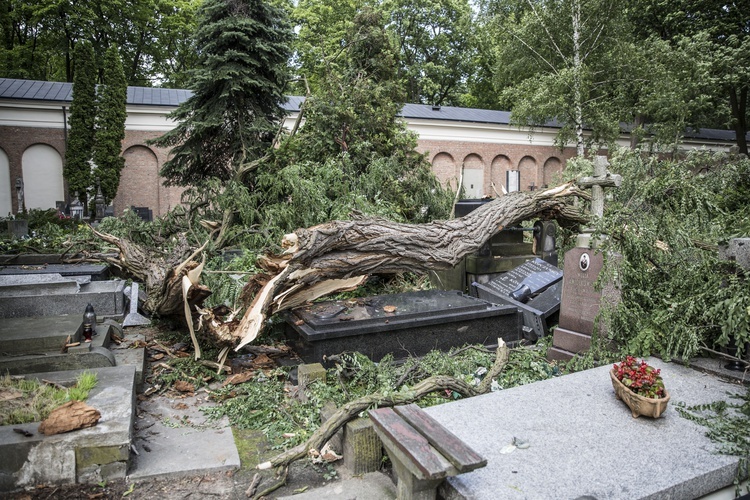 Powązki zniszczone po nawałnicy