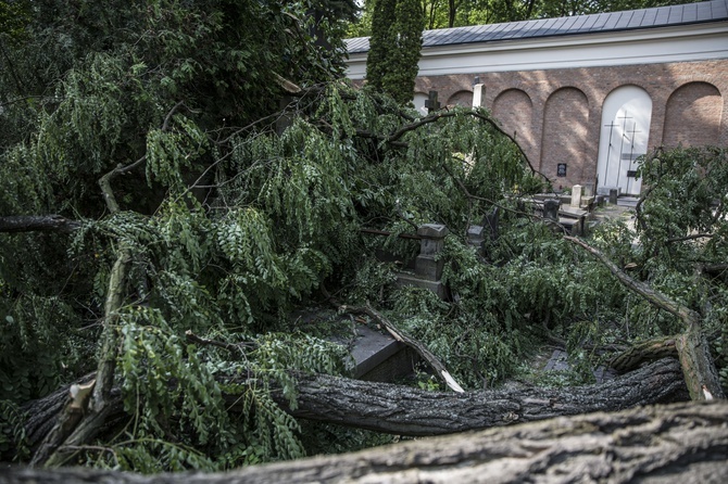 Powązki zniszczone po nawałnicy