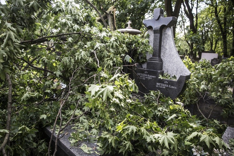 Powązki zniszczone po nawałnicy