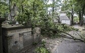 Powązki zniszczone po nawałnicy