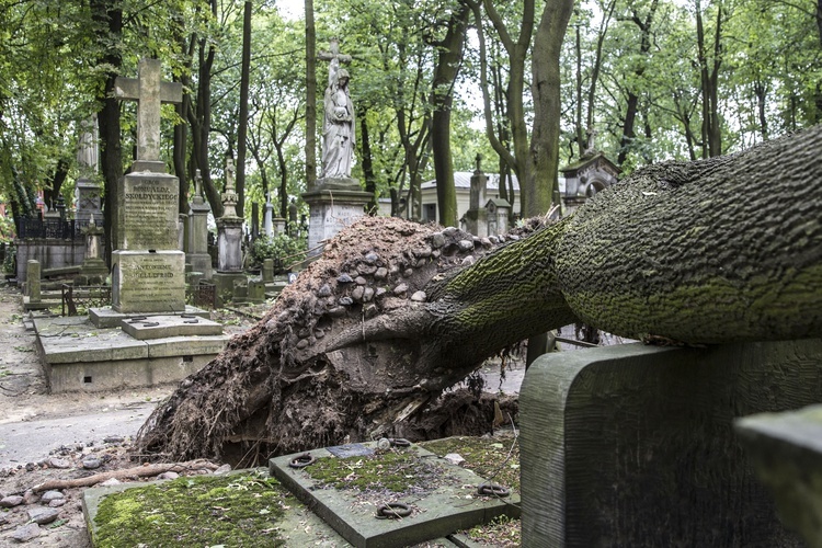 Powązki zniszczone po nawałnicy