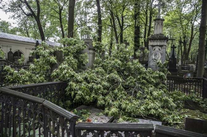 Powązki zniszczone po nawałnicy