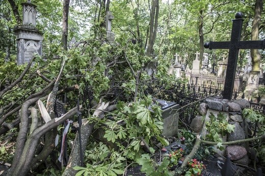 Powązki zniszczone po nawałnicy