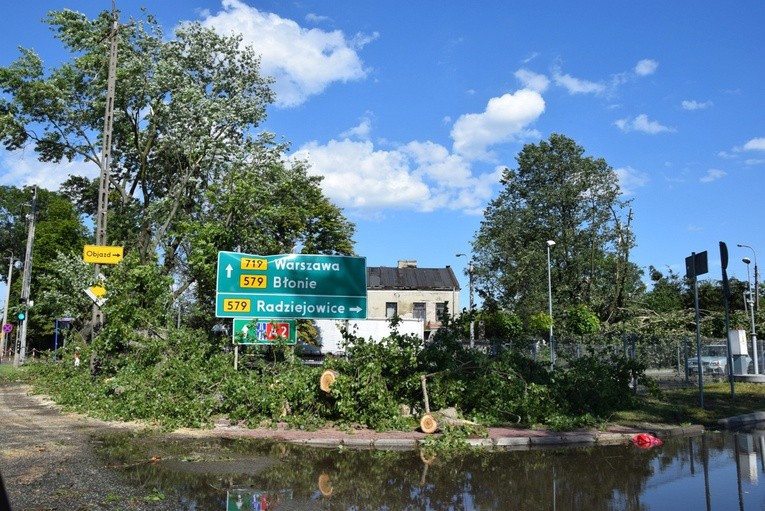 Skutki nawałnicy w Grodzisku Mazowieckim. Powalone drzewo zostało już uprzątnięte z drogi