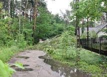 Skutki burz na Mazowszu