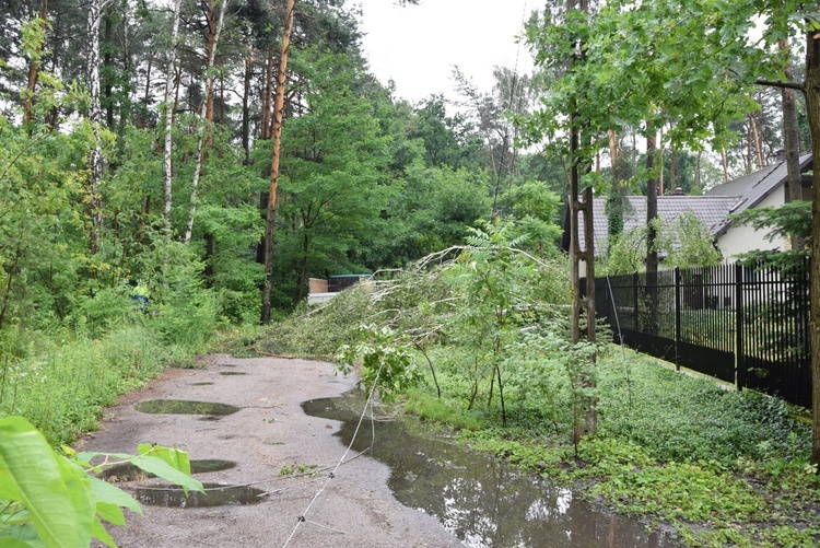 Skutki burz na Mazowszu