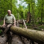 Perły z listy UNESCO. Puszcza Białowieska