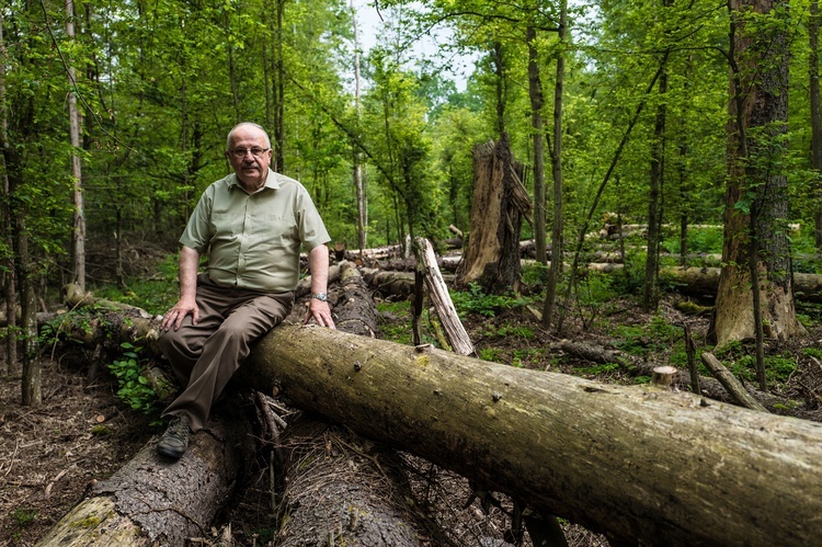 Perły z listy UNESCO. Puszcza Białowieska