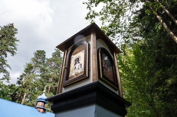 Perły z listy UNESCO. Puszcza Białowieska