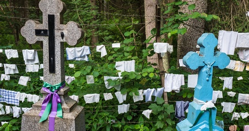 Perły z listy UNESCO. Puszcza Białowieska