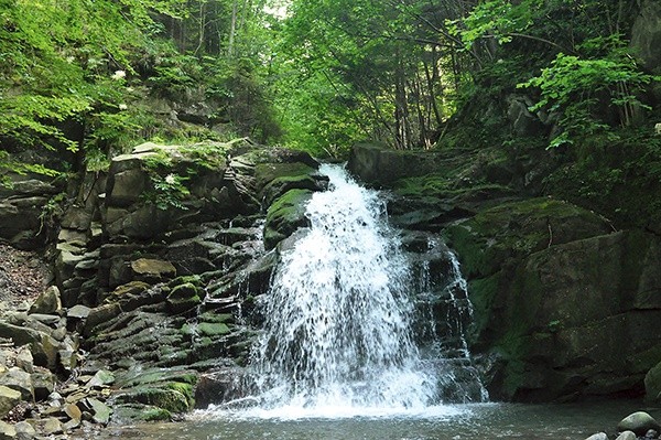 Największy w Beskidzie wodospad jest w Obidzy.