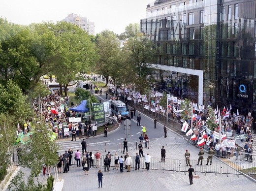 Manifestacje w obronie Puszczy Białowieskiej