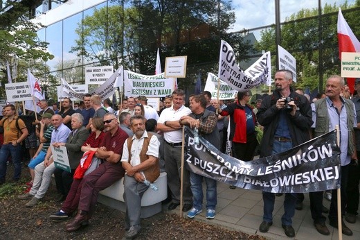 Manifestacje w obronie Puszczy Białowieskiej