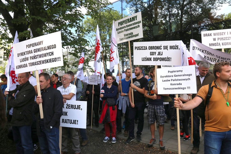 Manifestacje w obronie Puszczy Białowieskiej