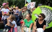 Manifestacje w obronie Puszczy Białowieskiej