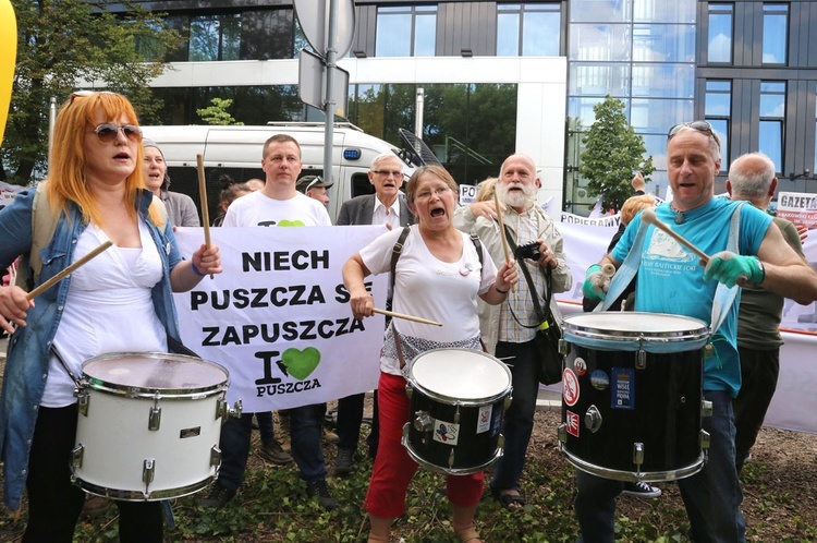 Manifestacje w obronie Puszczy Białowieskiej