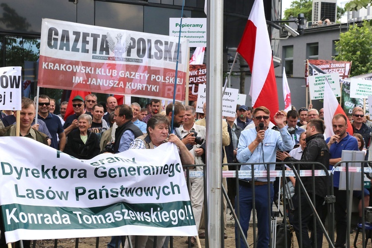 Manifestacje w obronie Puszczy Białowieskiej