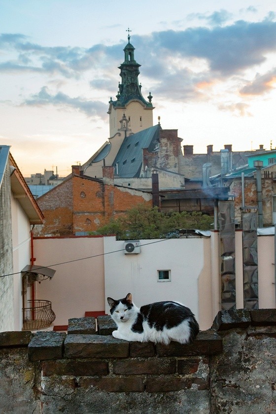 Lwów, jak Paryż, warto zobaczyć też od strony dachów.