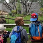 Nowe pawilony w krakowskim zoo