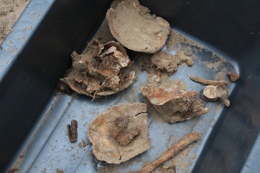 Ekshumacja w Dobrzykowie