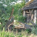 Piątkowe ulewy i sobotnie usuwanie szkód