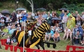 Turniej Rycerski u Jagiellonów 