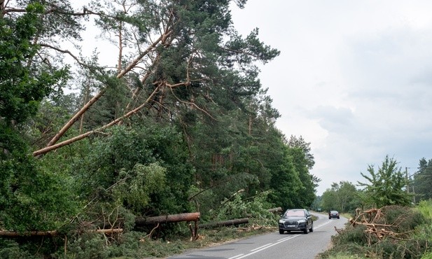 Śląsk: 1500 ha lasów, w tym 800 doszczętnie, zniszczonych po trąbie powietrznej