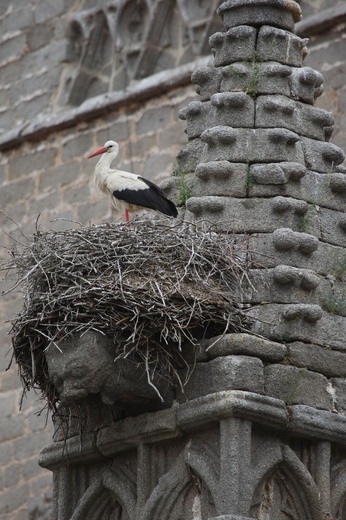 ​Letnie poranki są tu bardzo zimne, dni nieznośnie gorące