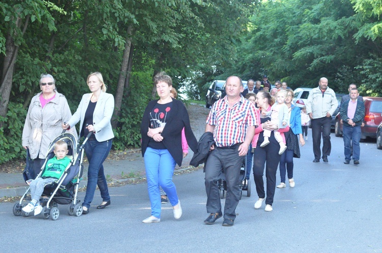 Z Trzetrzewiny i Brzeznej na Strzyganiec