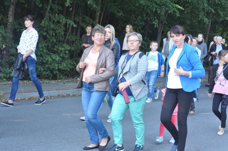 Z Trzetrzewiny i Brzeznej na Strzyganiec