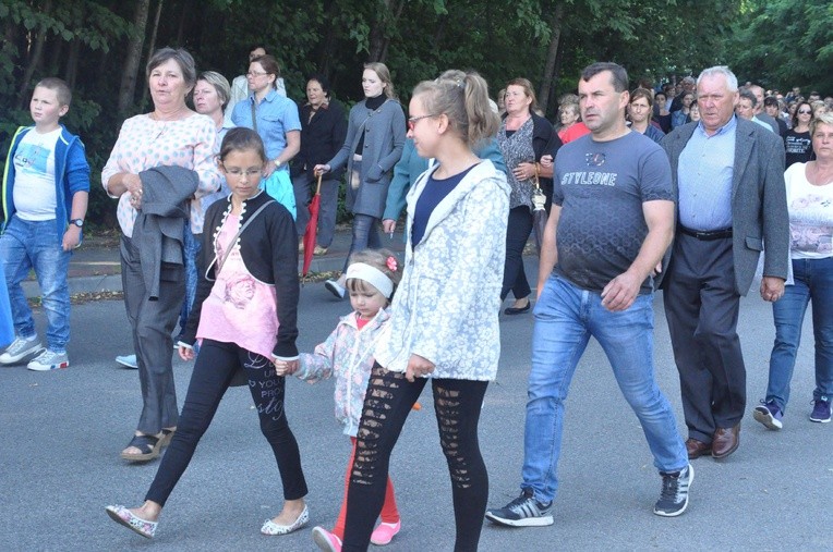 Z Trzetrzewiny i Brzeznej na Strzyganiec