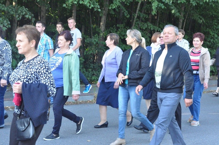 Z Trzetrzewiny i Brzeznej na Strzyganiec