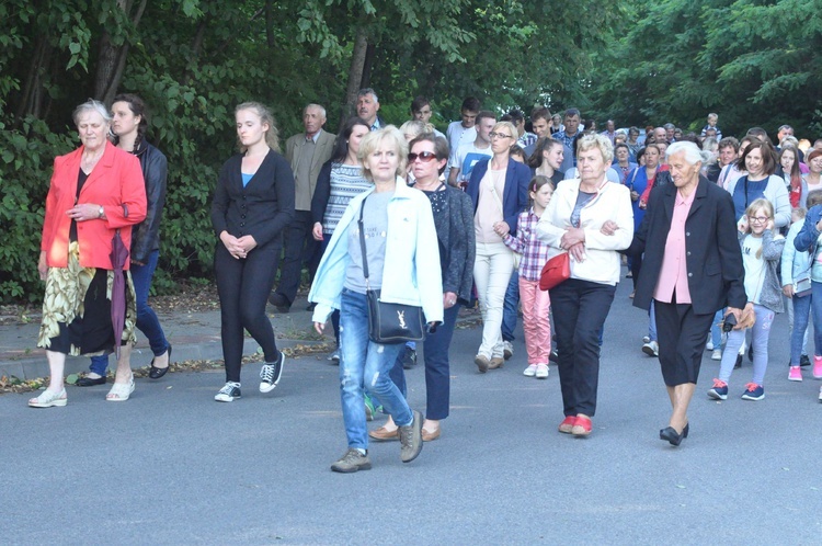 Z Trzetrzewiny i Brzeznej na Strzyganiec