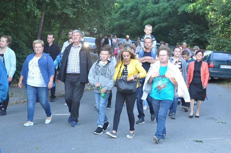 Z Trzetrzewiny i Brzeznej na Strzyganiec