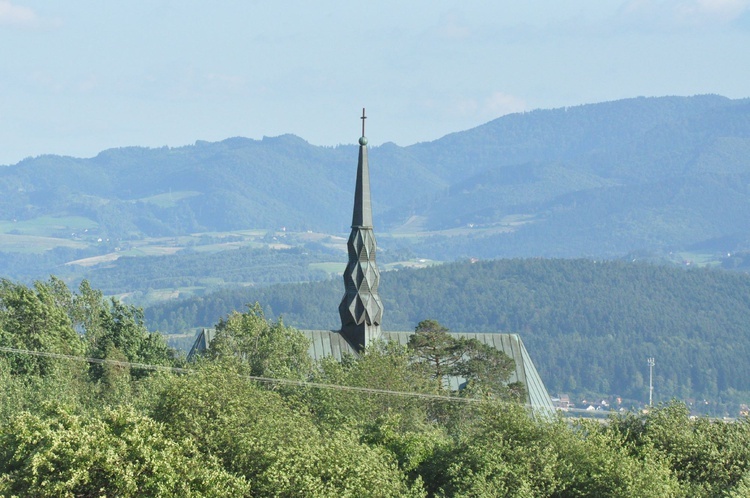 Z Trzetrzewiny i Brzeznej na Strzyganiec