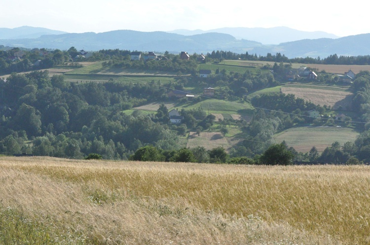 Z Trzetrzewiny i Brzeznej na Strzyganiec