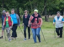 Nordic Walking w Starym Krakowie