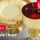 Zwiastun najnowszego "Gościa"