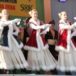 Festiwal folklorystyczny w Nowej Dębie