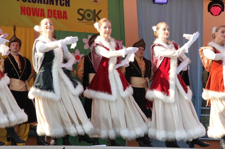 Festiwal folklorystyczny w Nowej Dębie