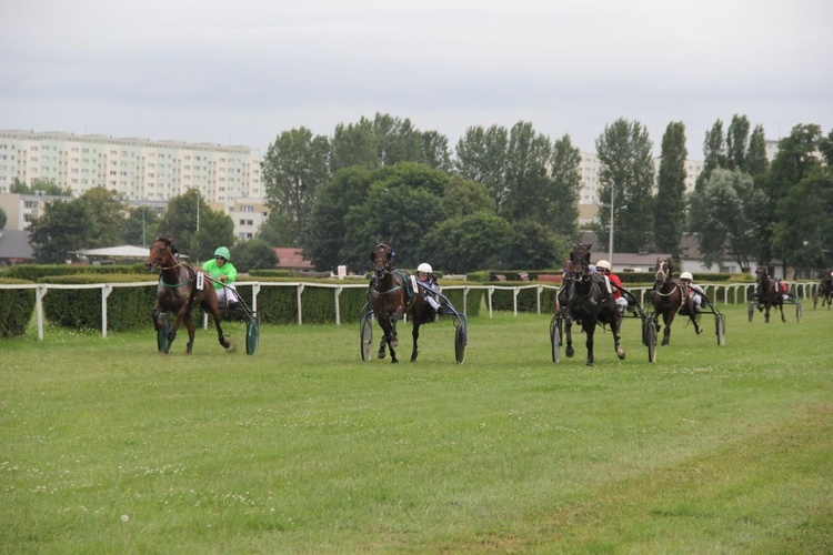 Wyścigi konne 2017