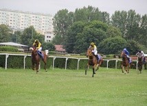 Wyścigi konne 2017