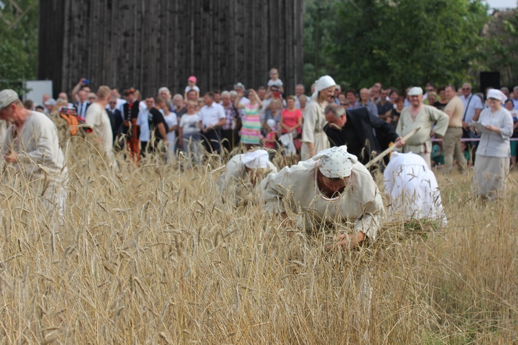 Łowickie Żniwa w skansnie w Maurzycach