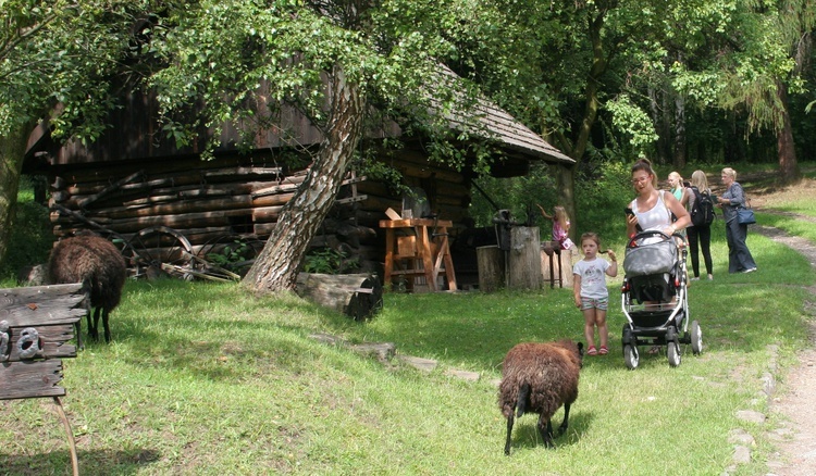 Wakacje w skansenie