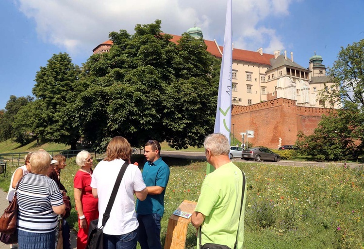 Ląka papieska pod Wawelem