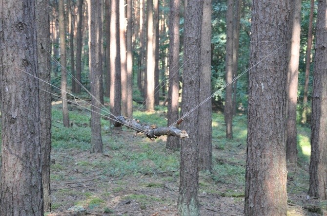 Świat Tolkiena nad Turawą